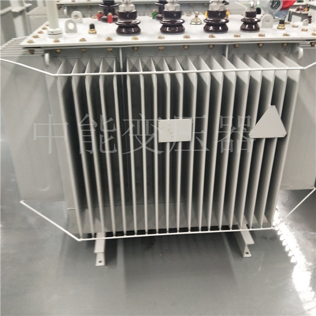 喀什S20-800KVA变压器